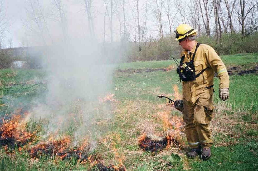 Prescribed burning